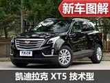䳵 ʵĿXT5