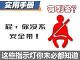 ����ʵ���ֲᣨ23�������Ǳ�����ָʾ��