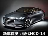 2013չִHCD-14Ͷ˹