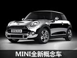 Ϲ˫ MINI˽Ƴȫ¸