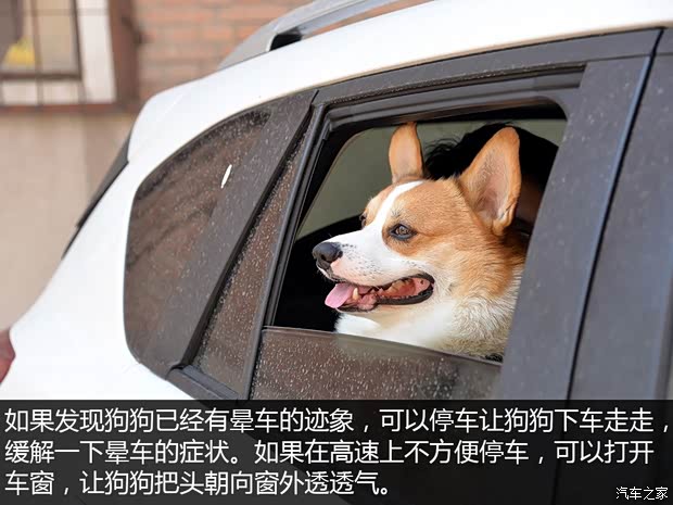 汽車(chē)之家