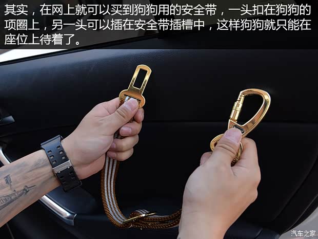 汽車(chē)之家