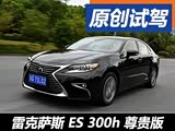 һ Լ׿˹ES 300h