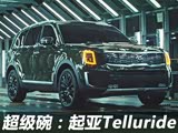 2019�곬�����棺����Telluride 