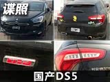 Ԥ9 DS5ͲԵع