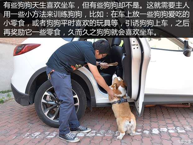 汽車(chē)之家