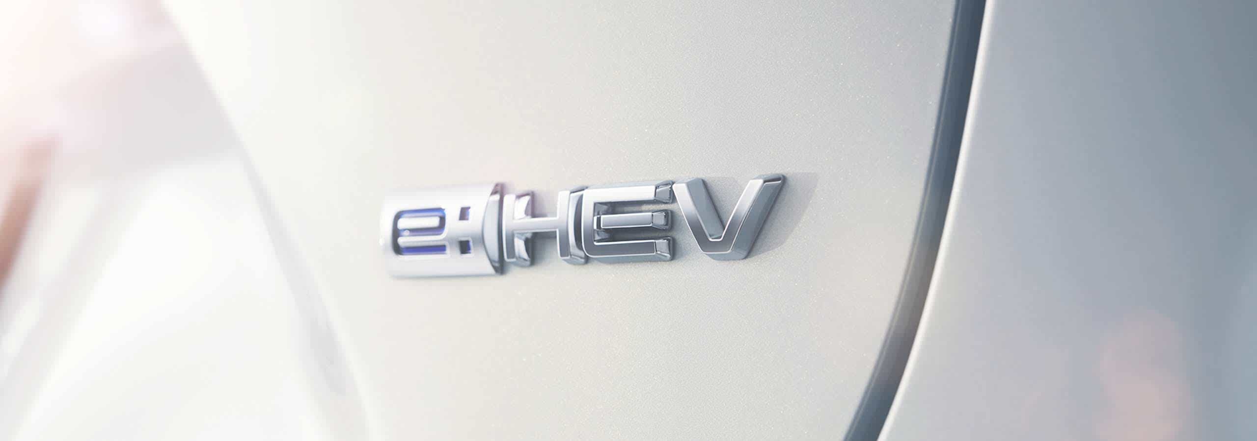֮