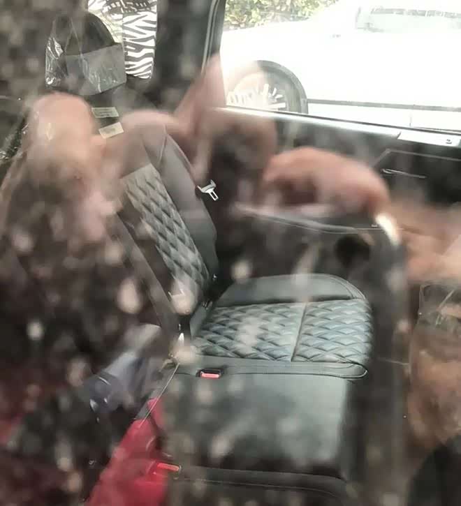 2022年内亮相 全新国产欧蓝德谍照曝光