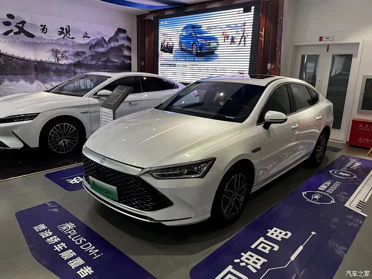 春节买车值不值 2021年畅销车购车调查