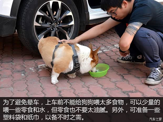 汽車(chē)之家
