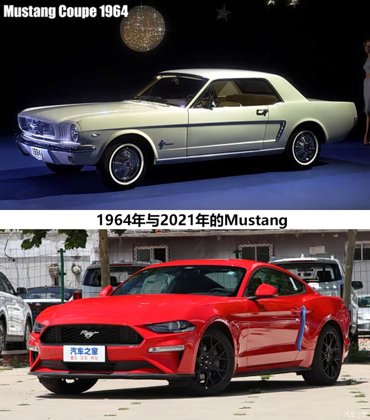 WEY复古潮驾/欧拉朋克猫你会为谁买单?