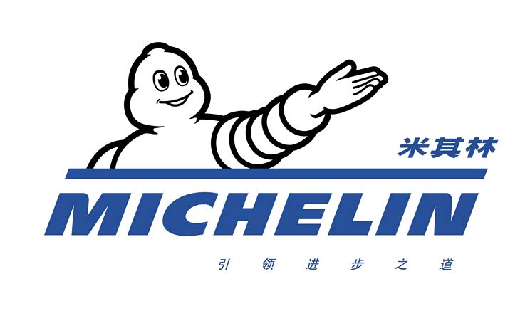 全球最大米其林沈阳工厂太阳能项目落成