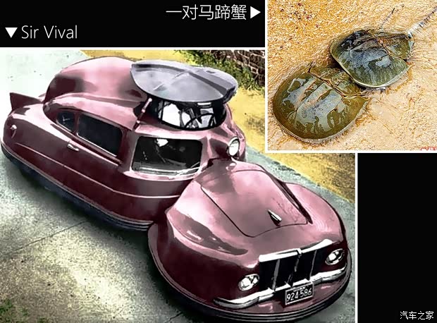 汽车之家