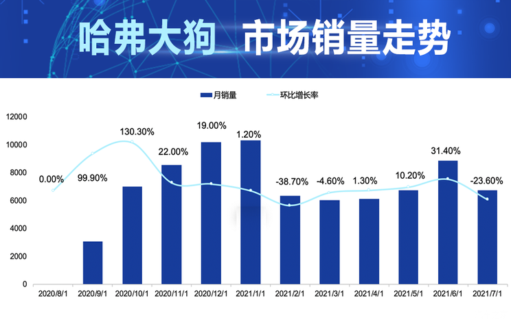 AI看市场|数据解读哈弗大狗产品竞争力