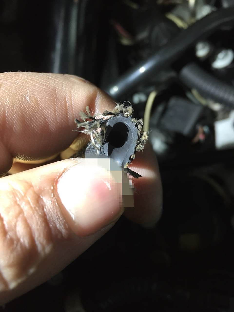 这位技师的手指甲又长又黑，我特意给打码了，不用谢！