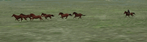 在影片开始的时候,他追逐着一群野马在草原奔驰,那是一种与大自然共舞