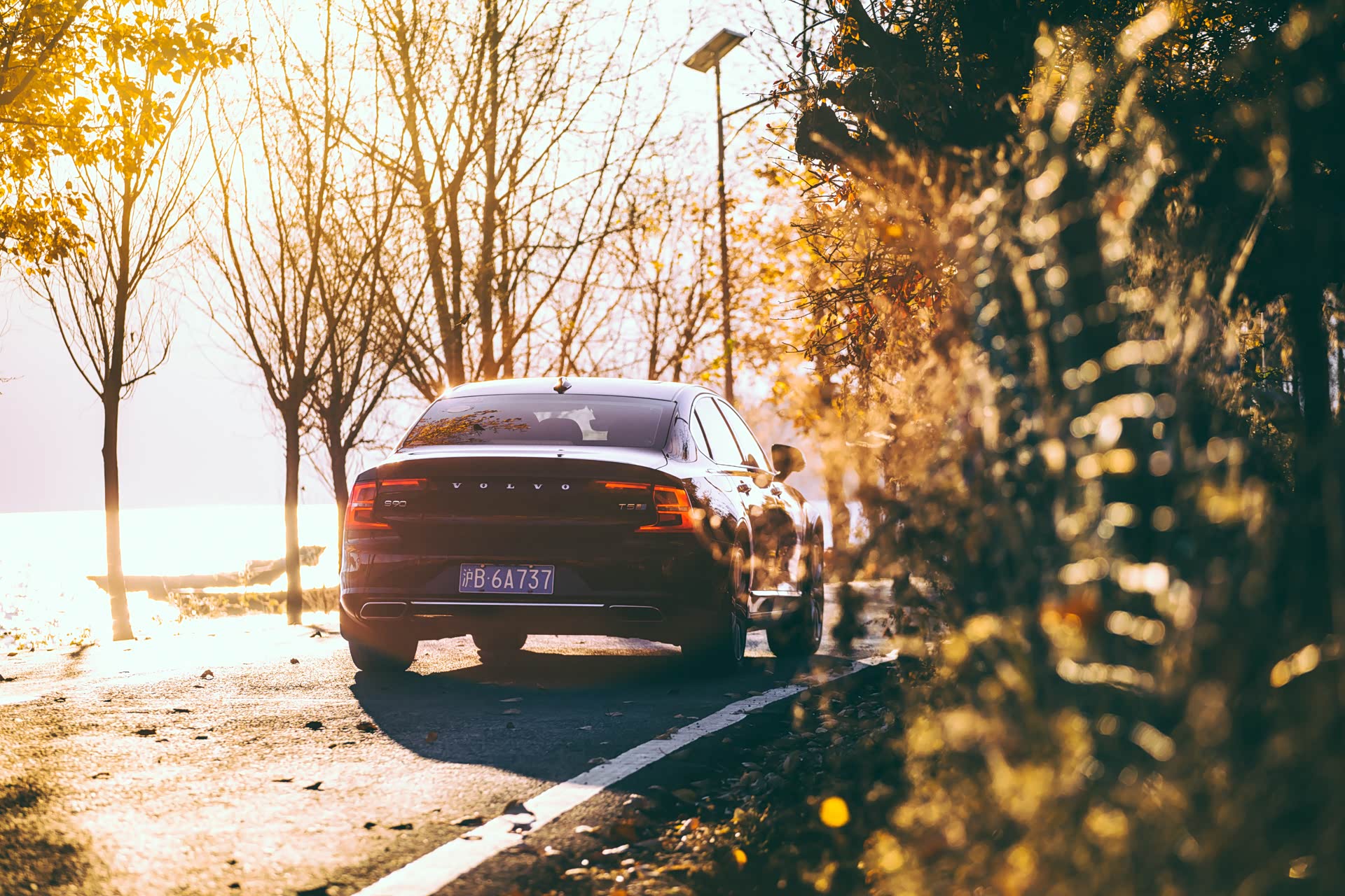 秋日暖阳晒在身上 车上