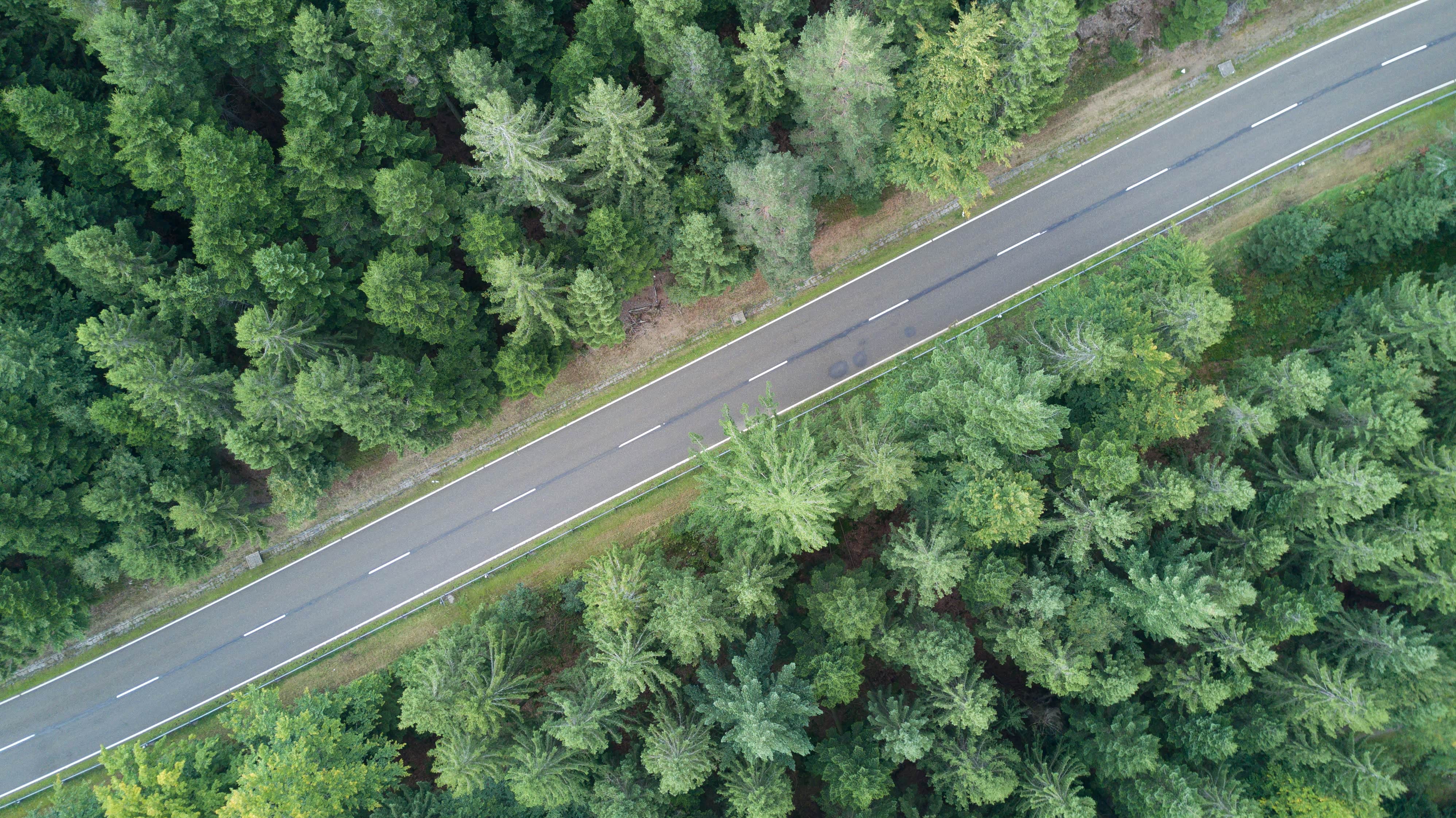 好，咱们就去那里吧！