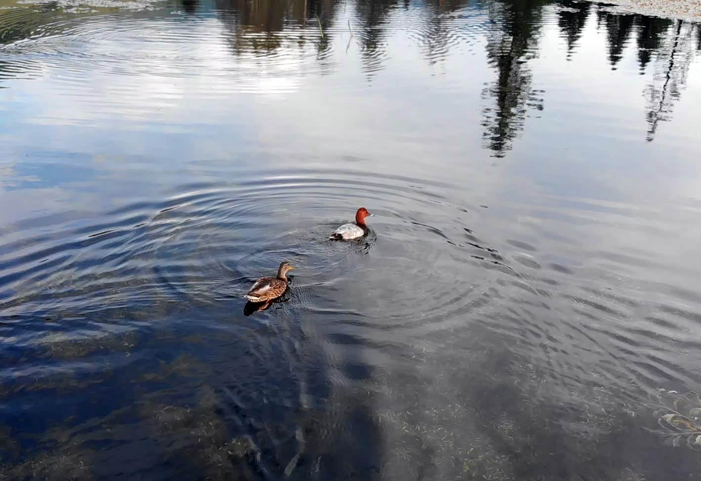 最后在一起了 哈哈哈~