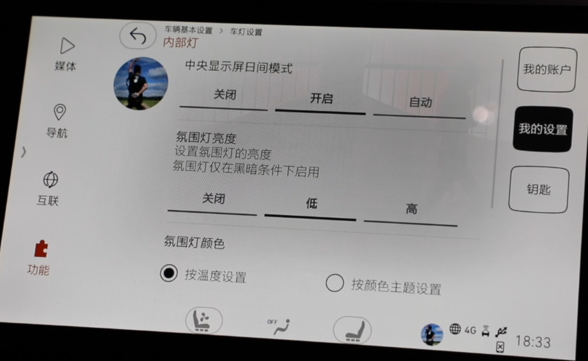 显示屏选择日间模式会长开启，选自动会在暗光下自动切换。氛围灯是天窗边一个灯点，开到最高亮度比较合适。