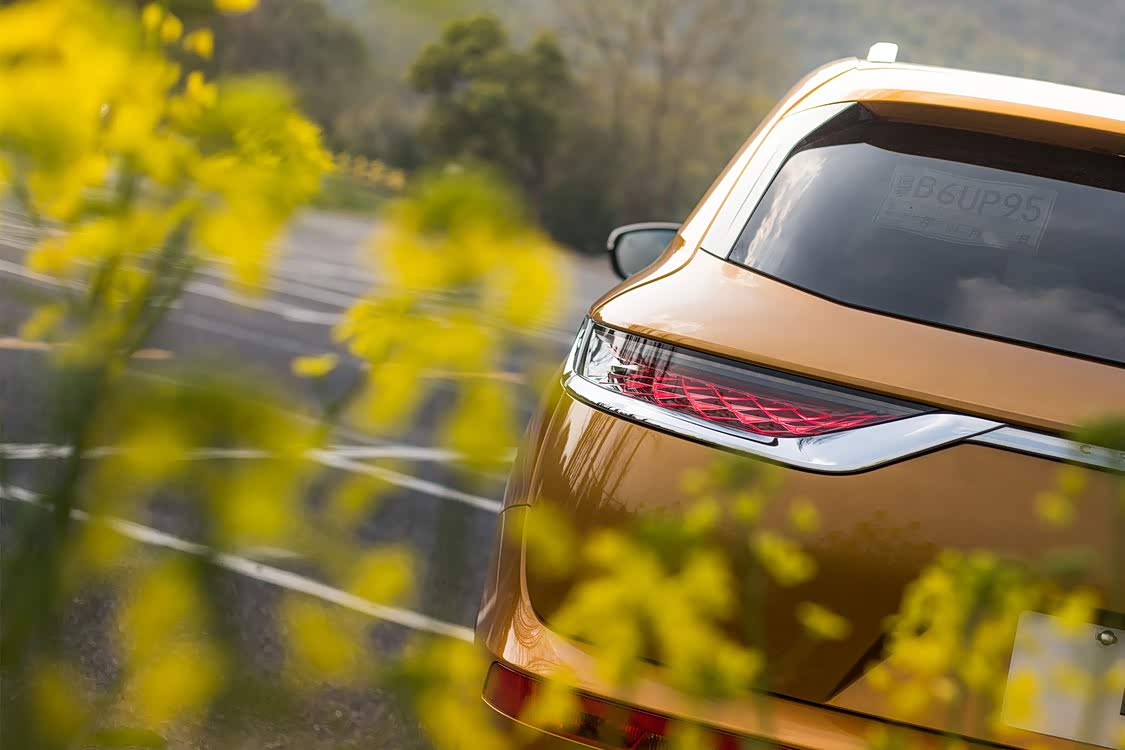 尾灯可以这样比喻：乱花渐欲迷人眼