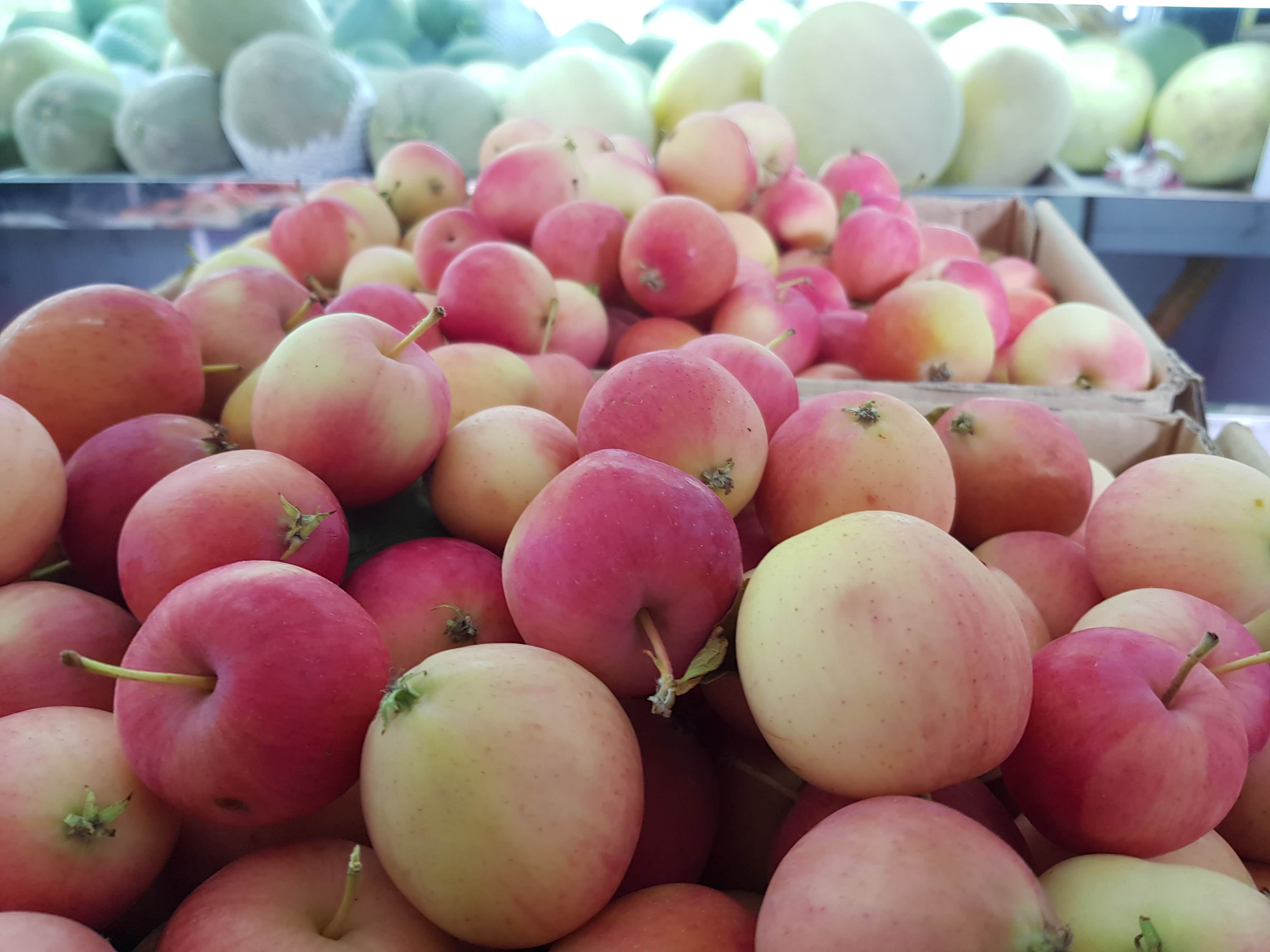 这果子长得像苹果，个头也就比李子稍大，很Q