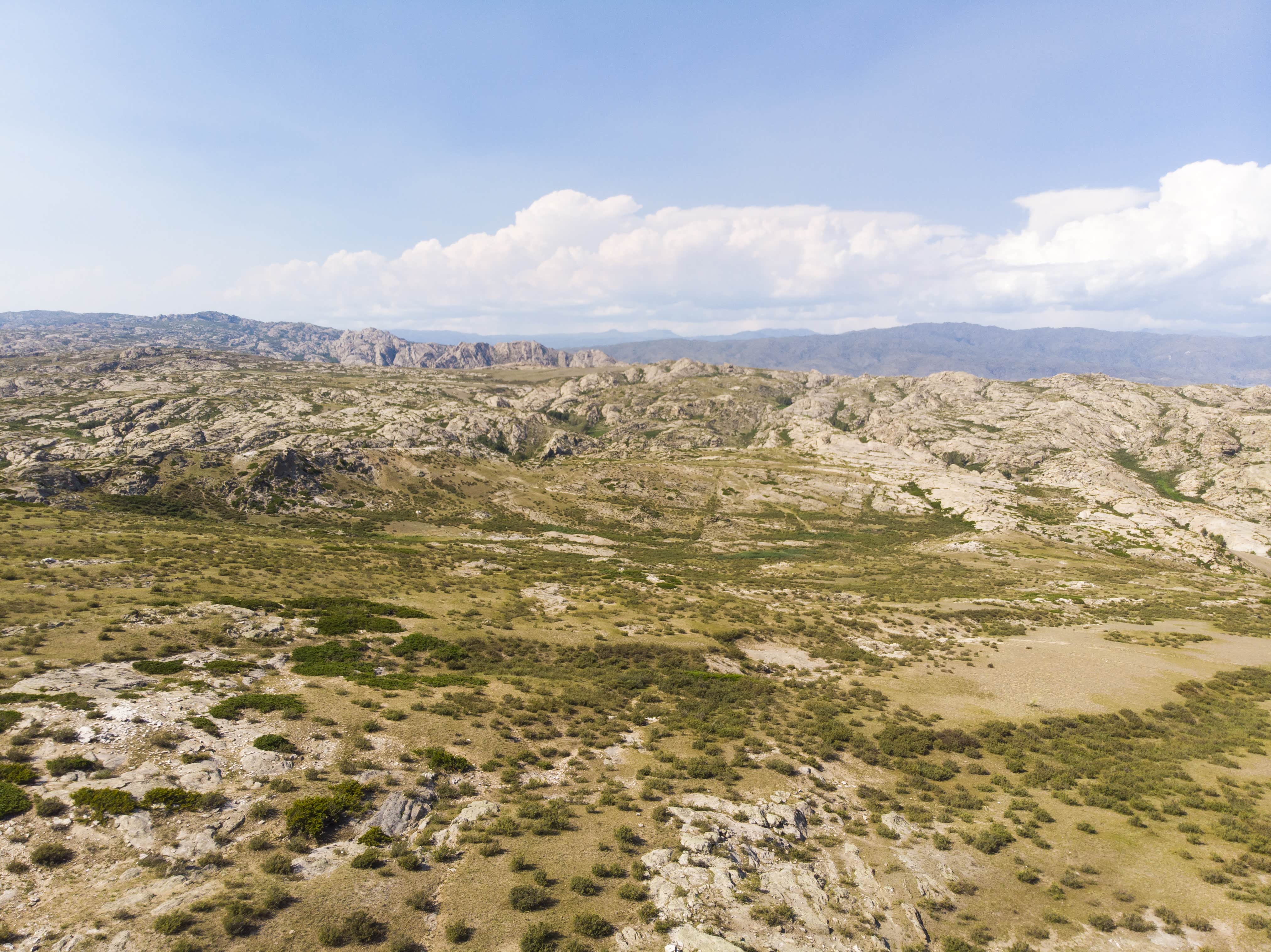 路边的石林特别壮观，刹车、飞起~