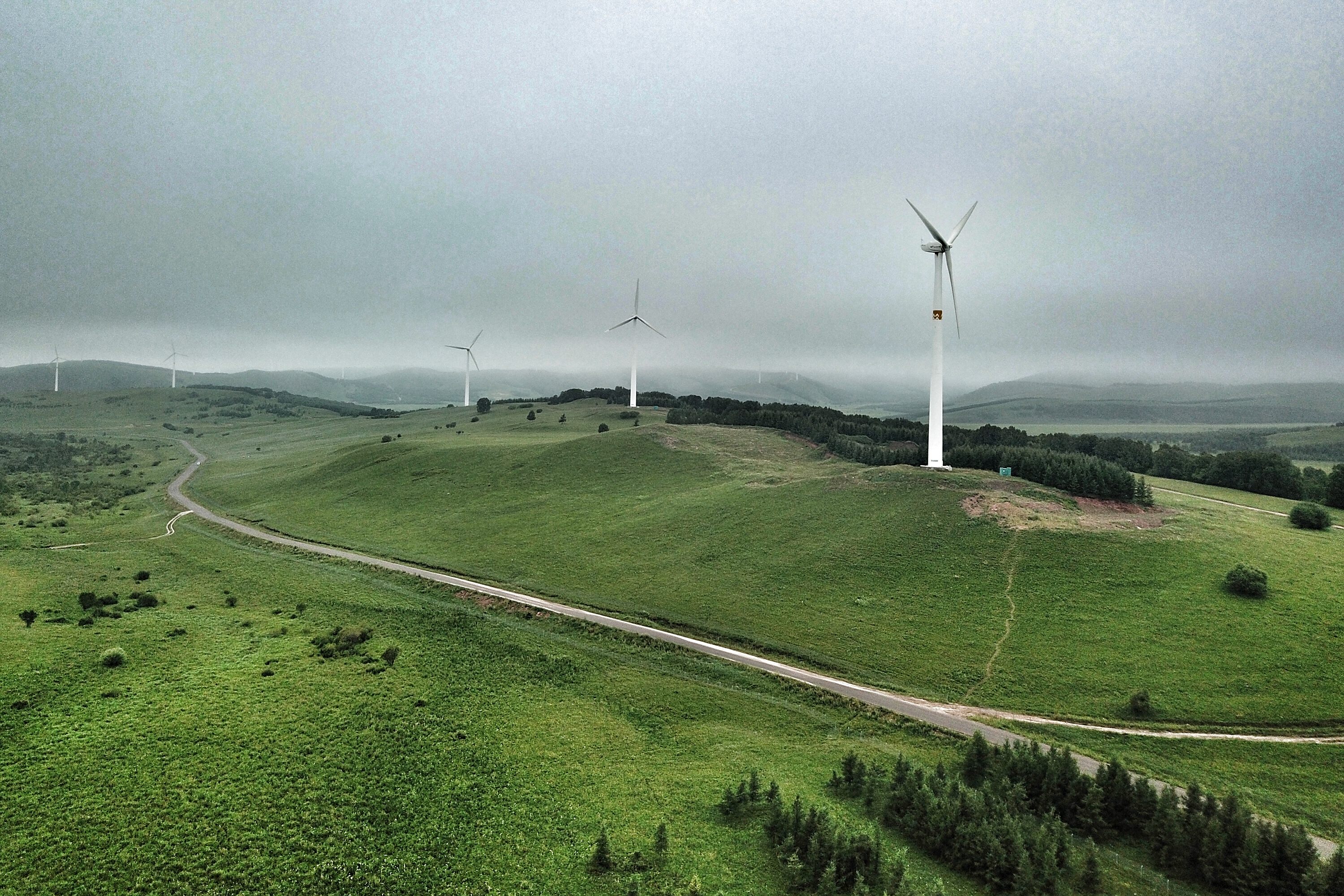 远离人潮，亲近自然，这才是塞罕坝的正确打开方式。