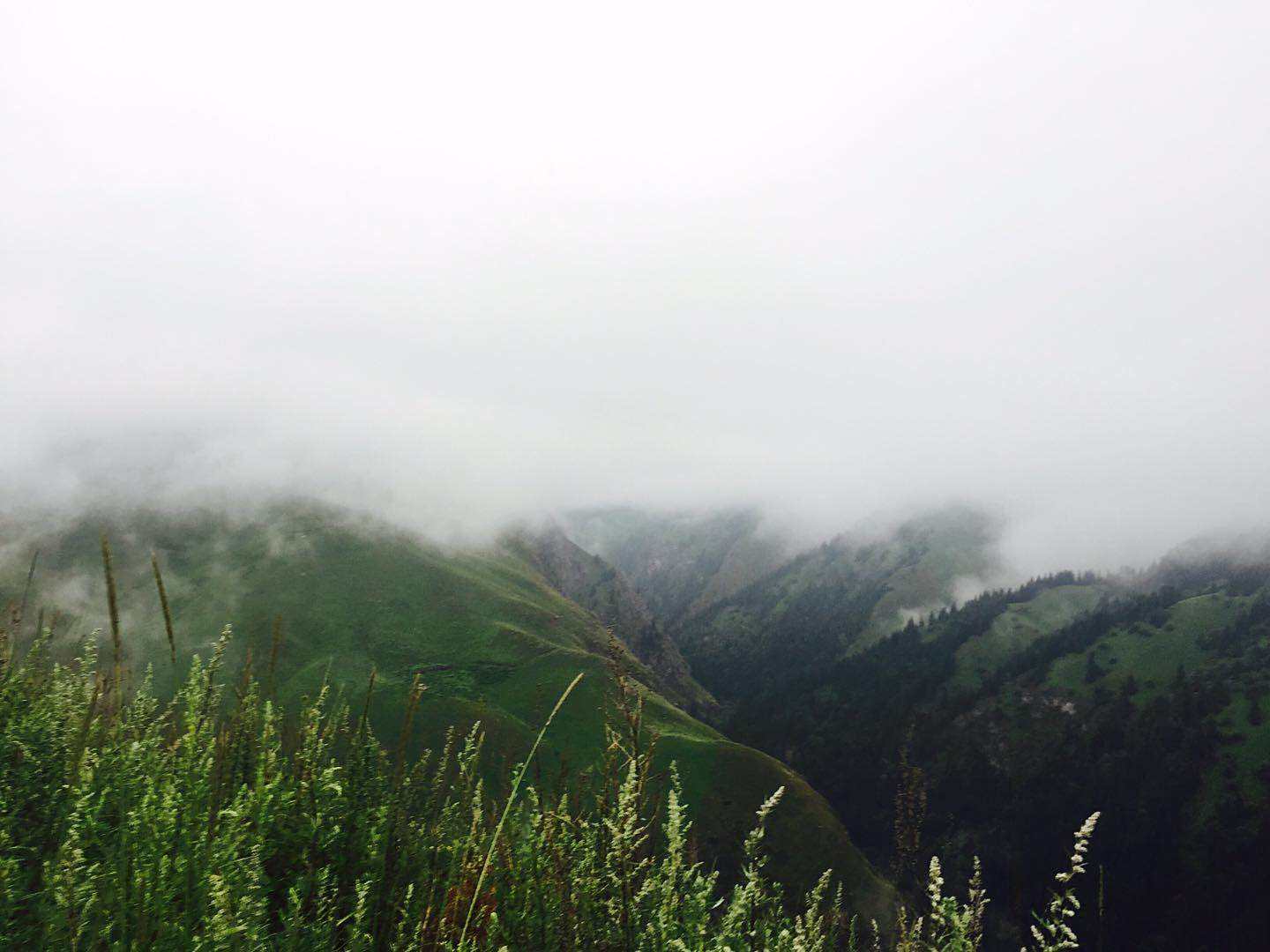 途径多雾路段，从腾云驾雾到云雾中穿梭，近1/3路段旁边是万丈悬崖，险象环生