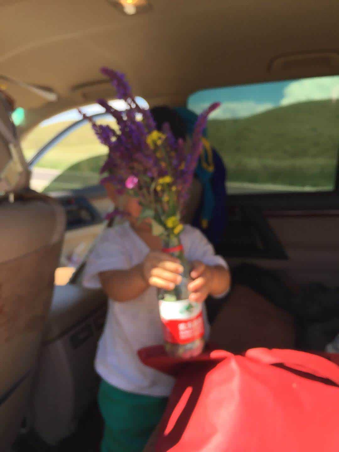 小家伙在草原摘了一些无名的花草，脸上乐开了花