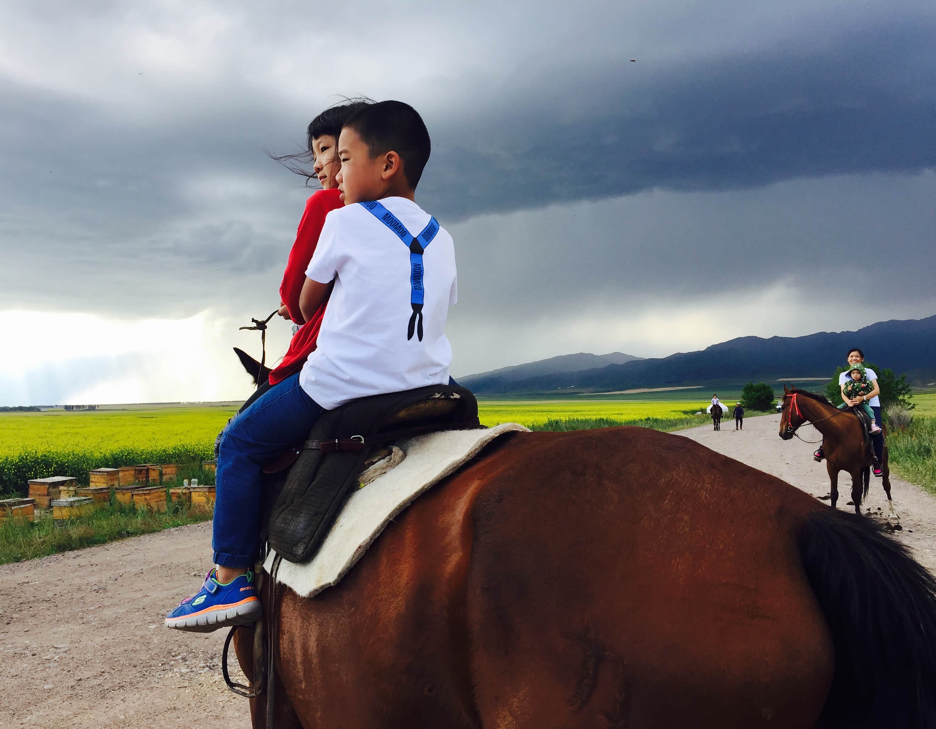 旁边则是万亩油菜地，沉重下车采购蜂蜜，小家伙骑上了英俊的昭苏宝马