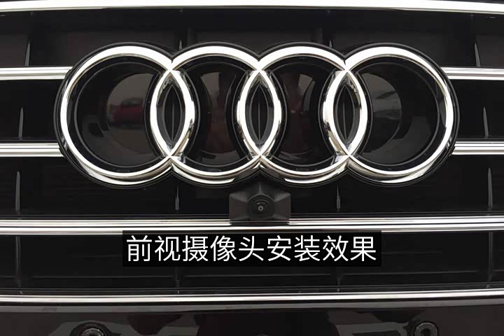 奥迪专用前视（例图）