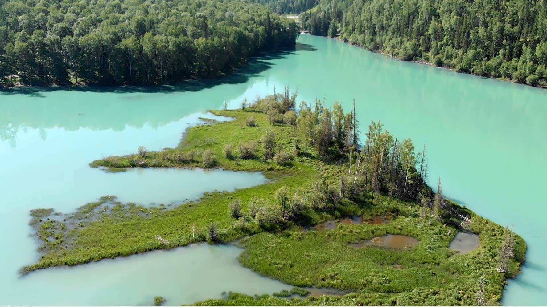 湖中小岛，这生态环境太安逸了