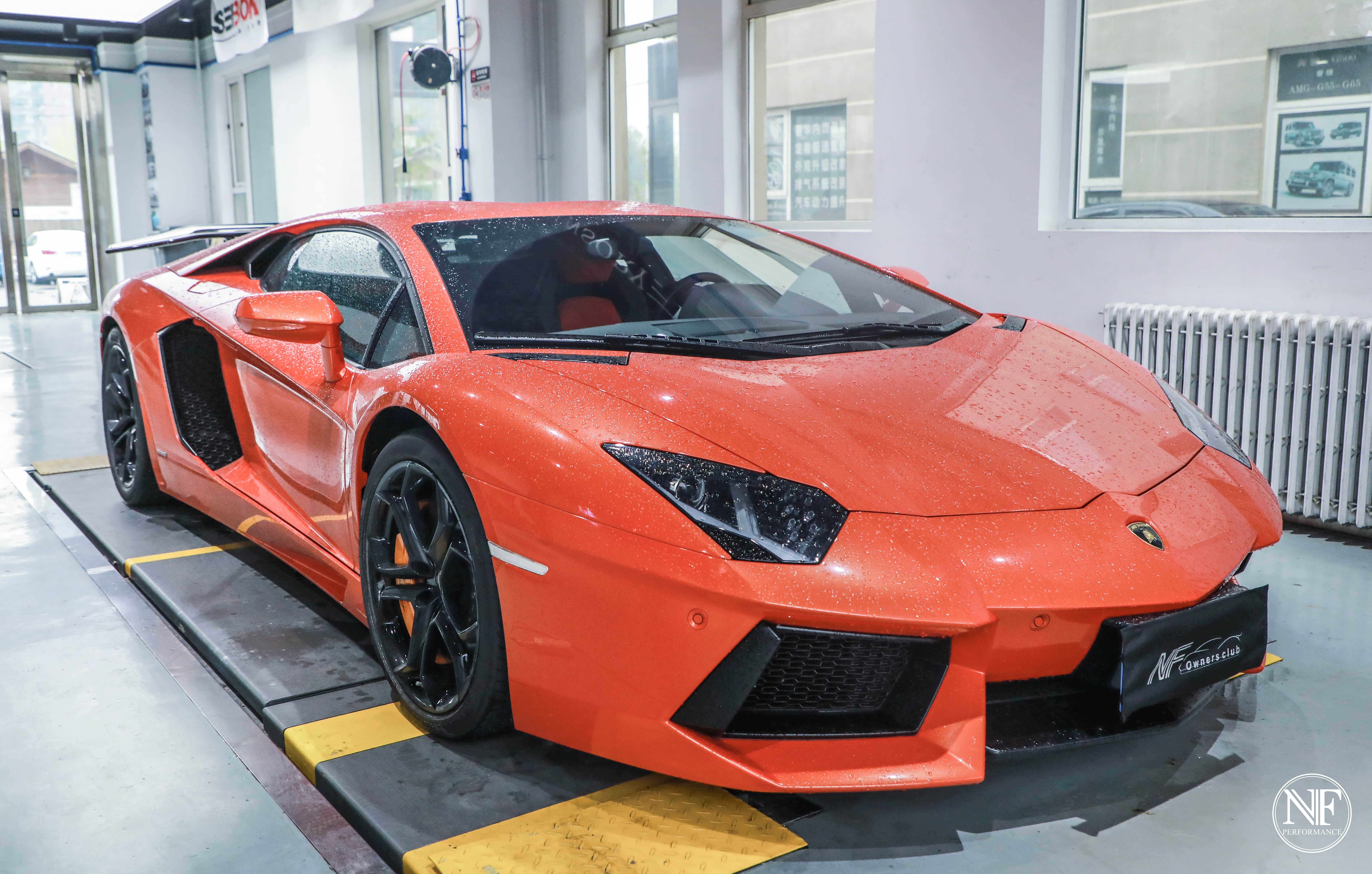 改色之前的样子，浑身湿漉漉的