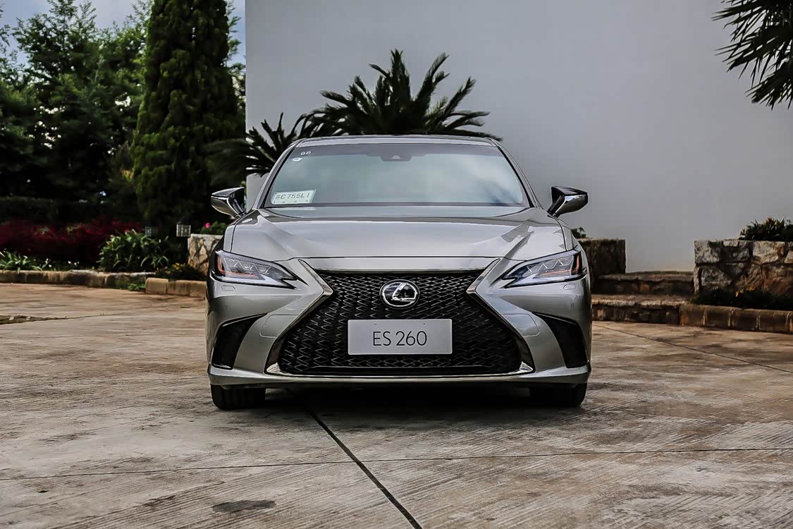 ES 260 F SPORT 的进气格栅