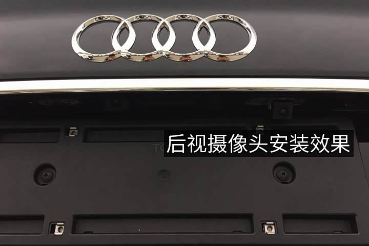 奥迪专用后视（例图）