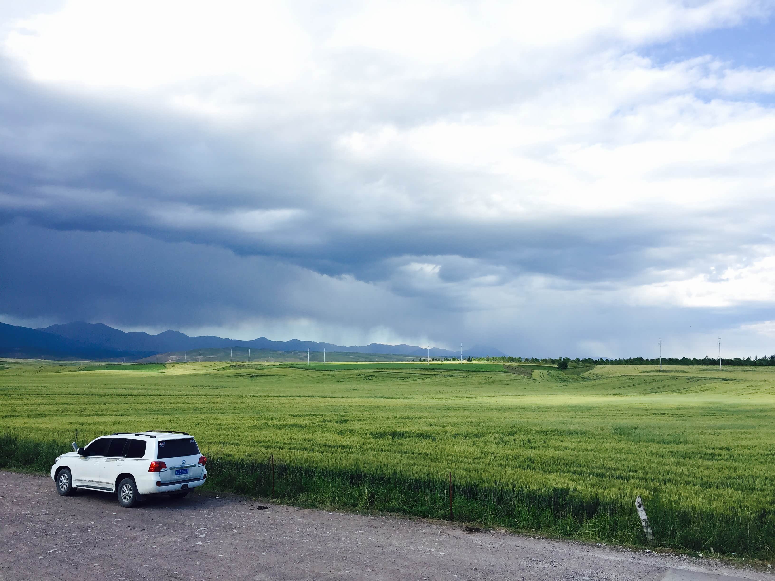天气波诡云谲，过了一阵，乌云飘过，麦田重见天日