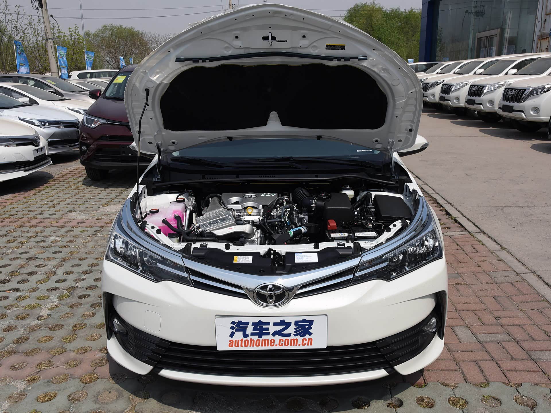 动力总成是1.2T，提供116马力 185牛米的动力输出，相比老款而言起步动力响应更快/引自汽车之家图库