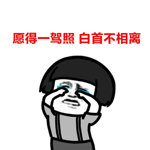 低价购车攻略看这里></p></a>> 立即查看  身边的亲人朋友很多早就手持驾照