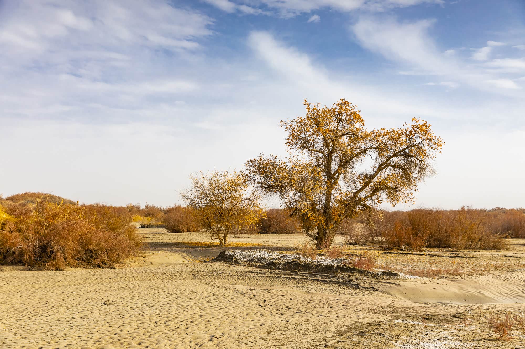 罗布人村寨环境