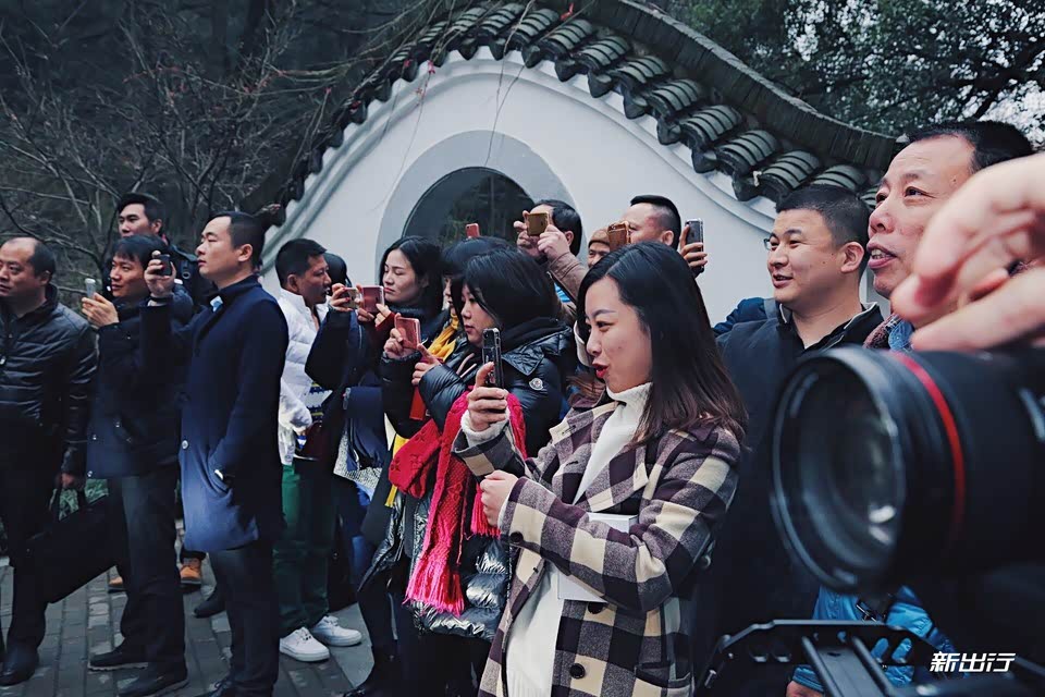 大家纷纷掏出手机录下了这好玩的一幕