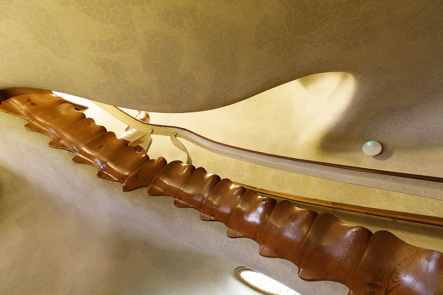 巴特罗之家内部的走廊扶手，像是龙的脊椎