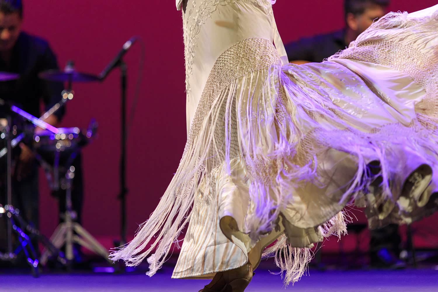 西班牙国粹-弗拉明戈