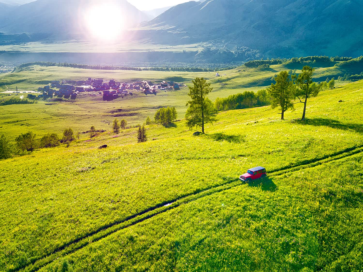 野花在无人的山谷里肆意开放
