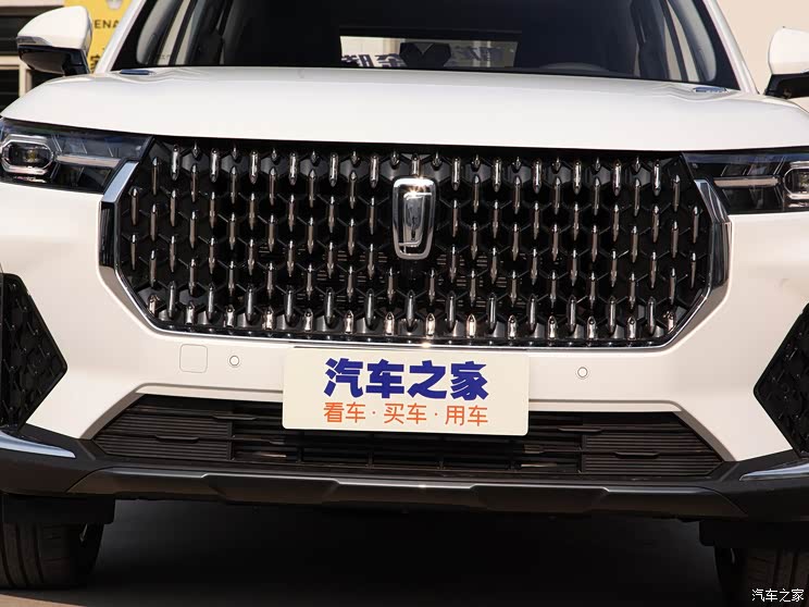 数码雨滴式的进气格栅与车标相融,配合平直的大灯组与镀铬装饰条,让