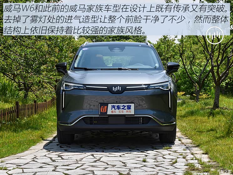 威马汽车 威马w6 2021款 520km ace极智版