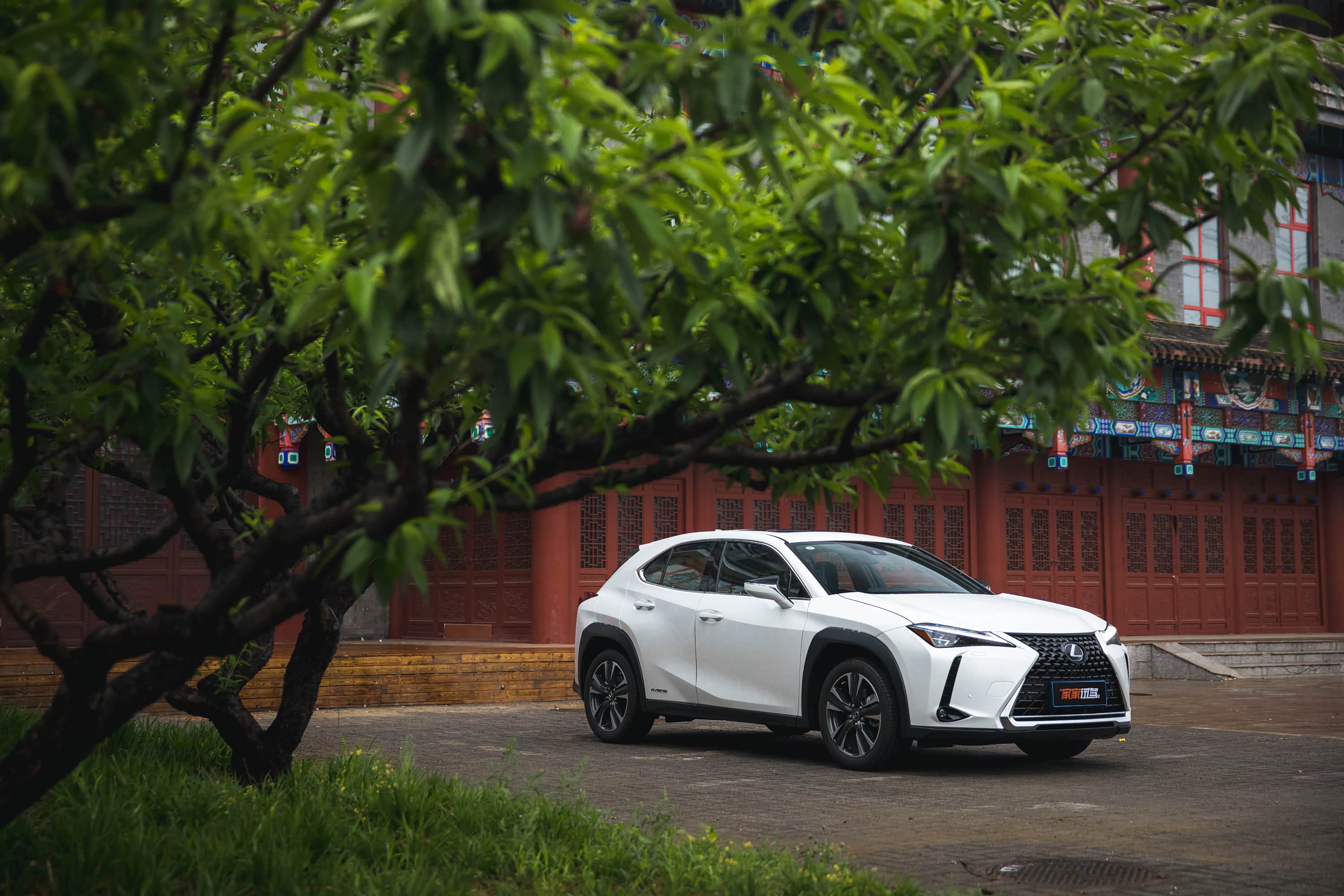 所行之处皆风景,看看雷克萨斯ux到底有啥本事!