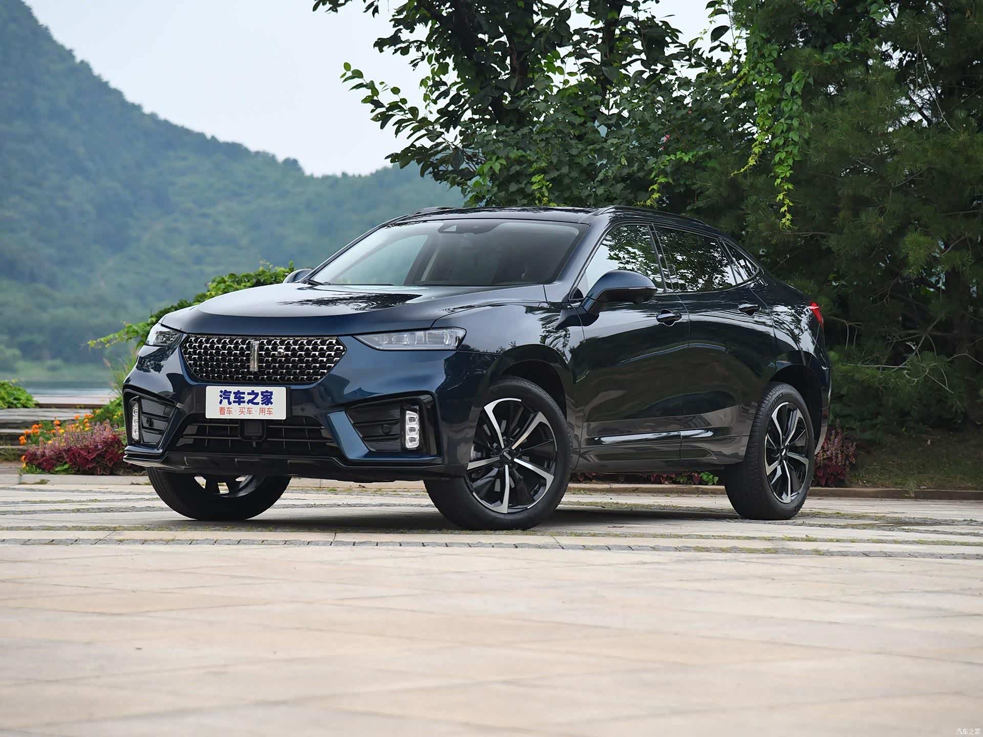 2019年上市的国产高端品牌suv盘点