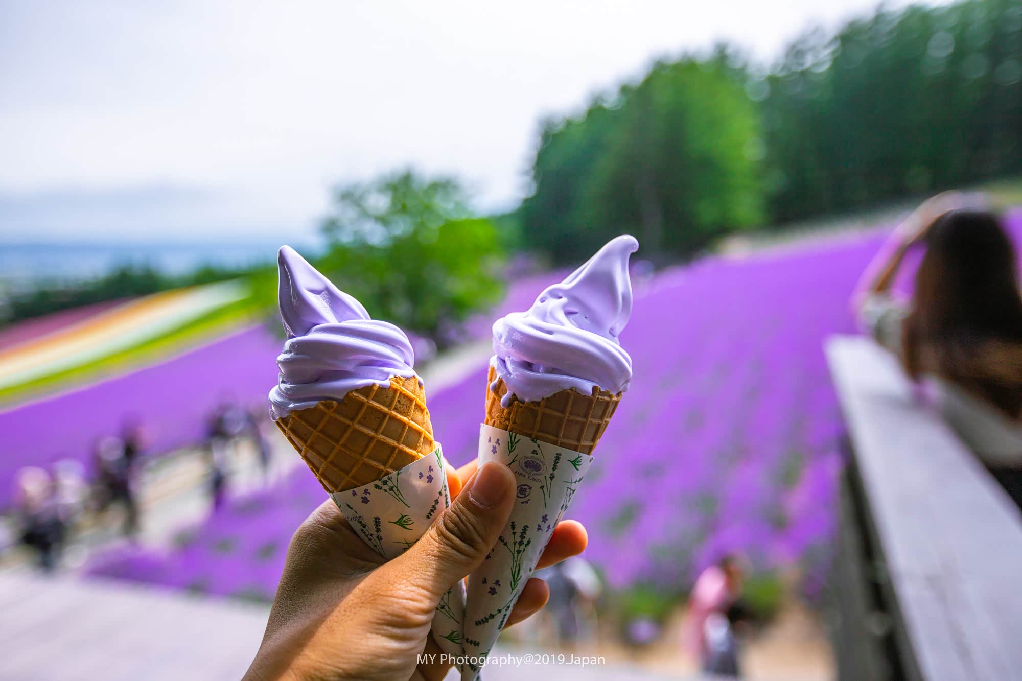 最爱繁花香,一路心荡漾|北海道自驾