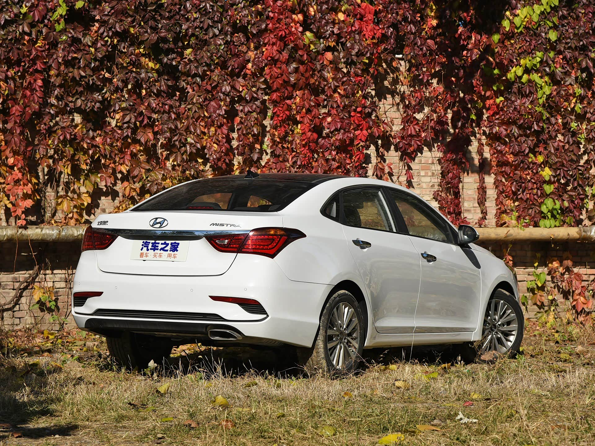 引自汽车之家图库